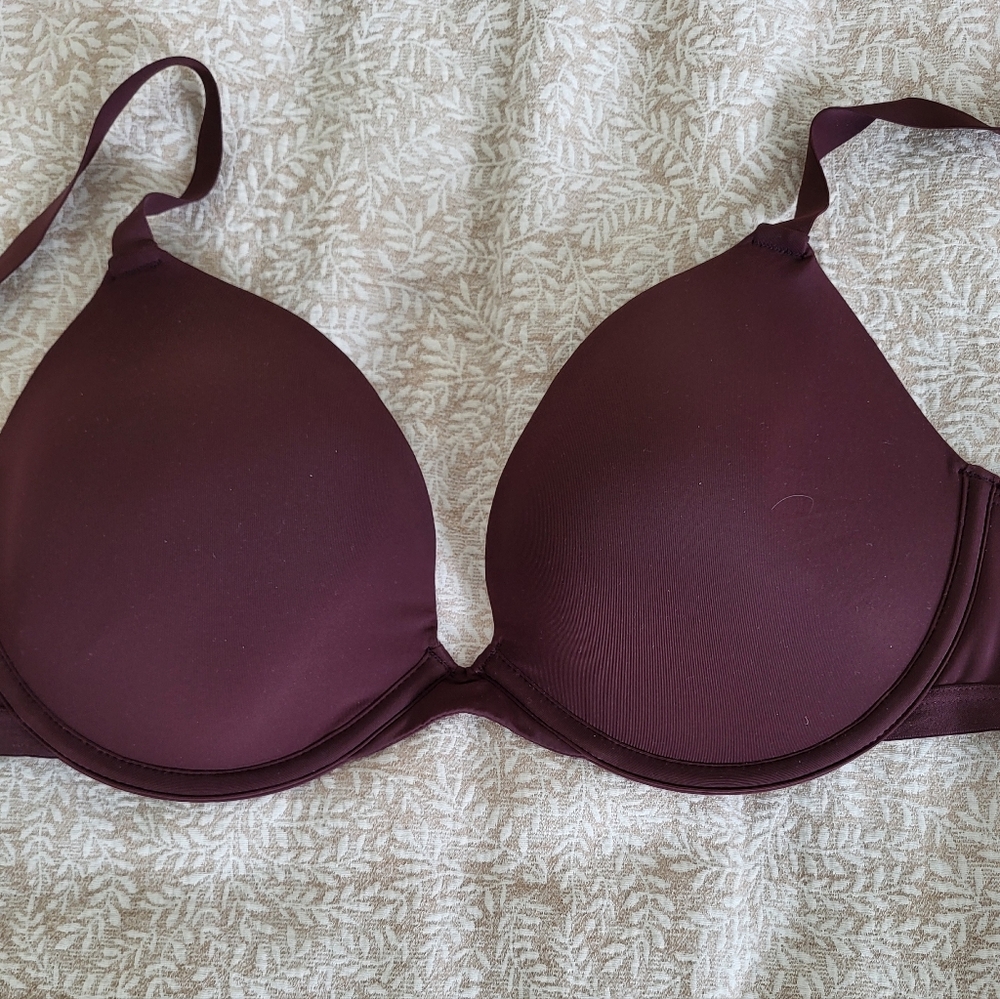 PARADE Bra - Picture 4 of 4